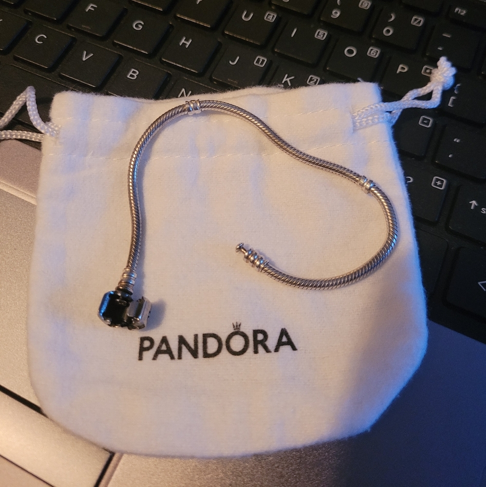 Pandora snake chain